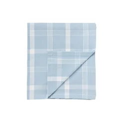 Checked Recycled Cotton Oxford Tablecloth, blue/white