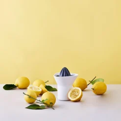 Citruspresser, white/grey