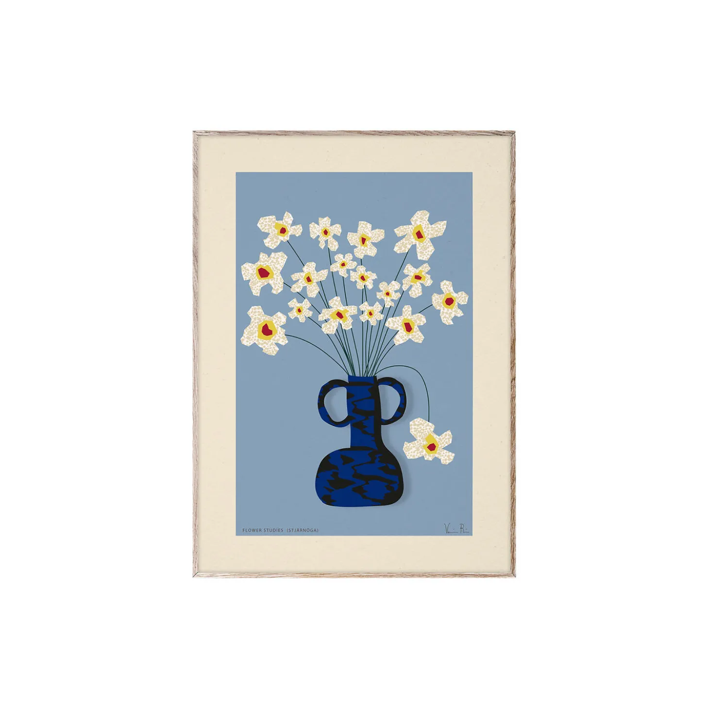 Flower Studies 04 (Stjärnöga) poster