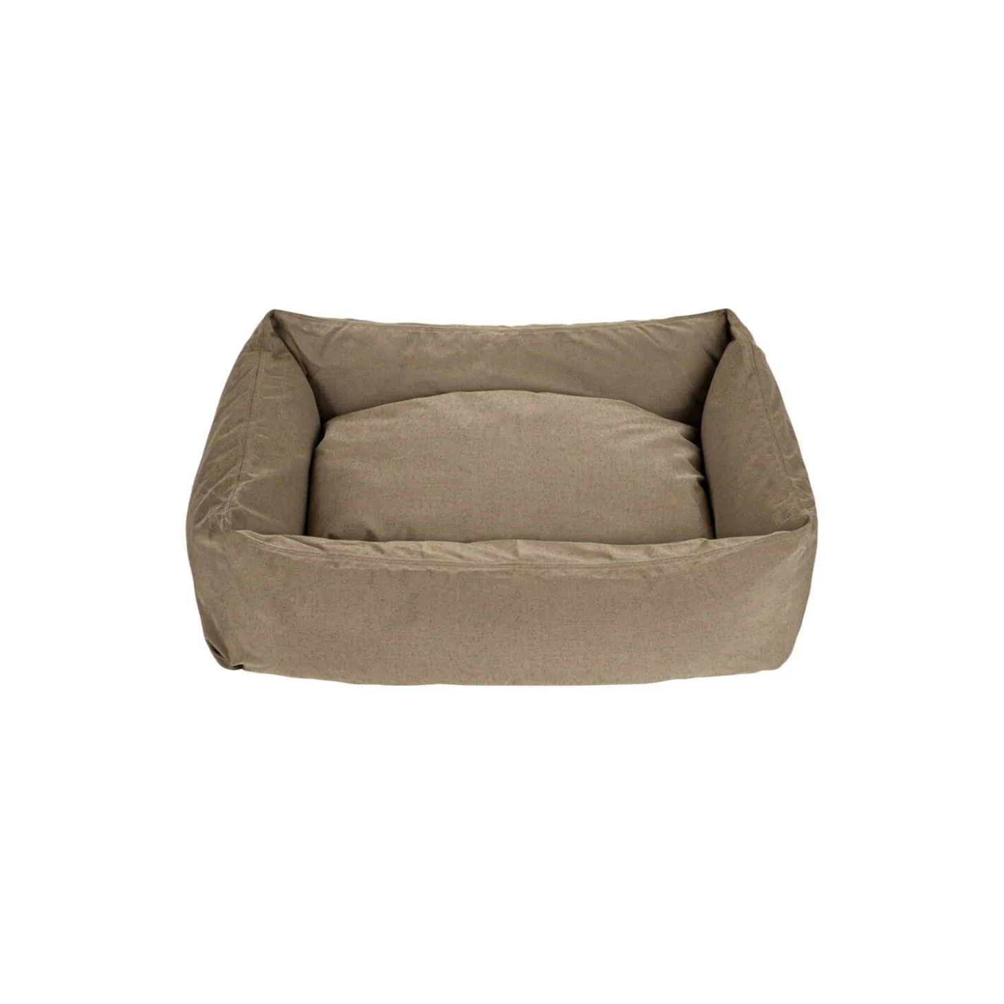 Hundeseng, khaki