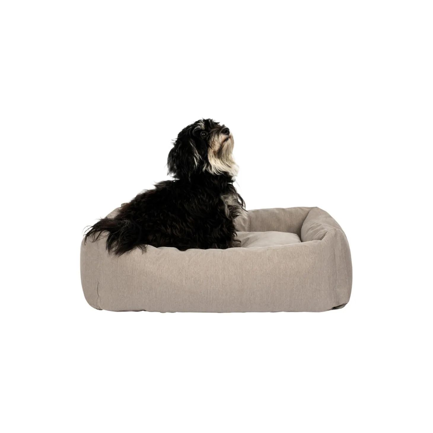 Hundeseng, soft grey