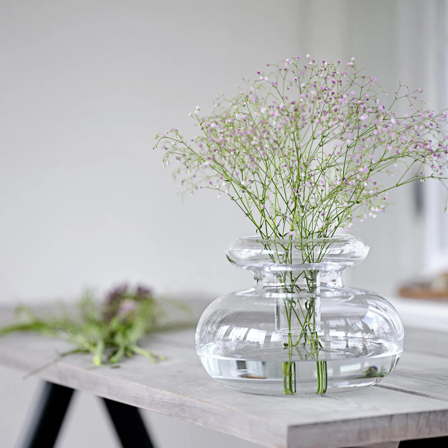 Inu vase, pure clear