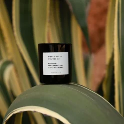 No. 1 Candle, They say you are what you eat