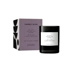 No. 8 Candle, You and I are more than friends. We're like a really small gang