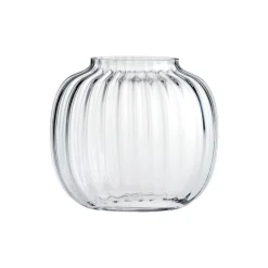 Primula vase