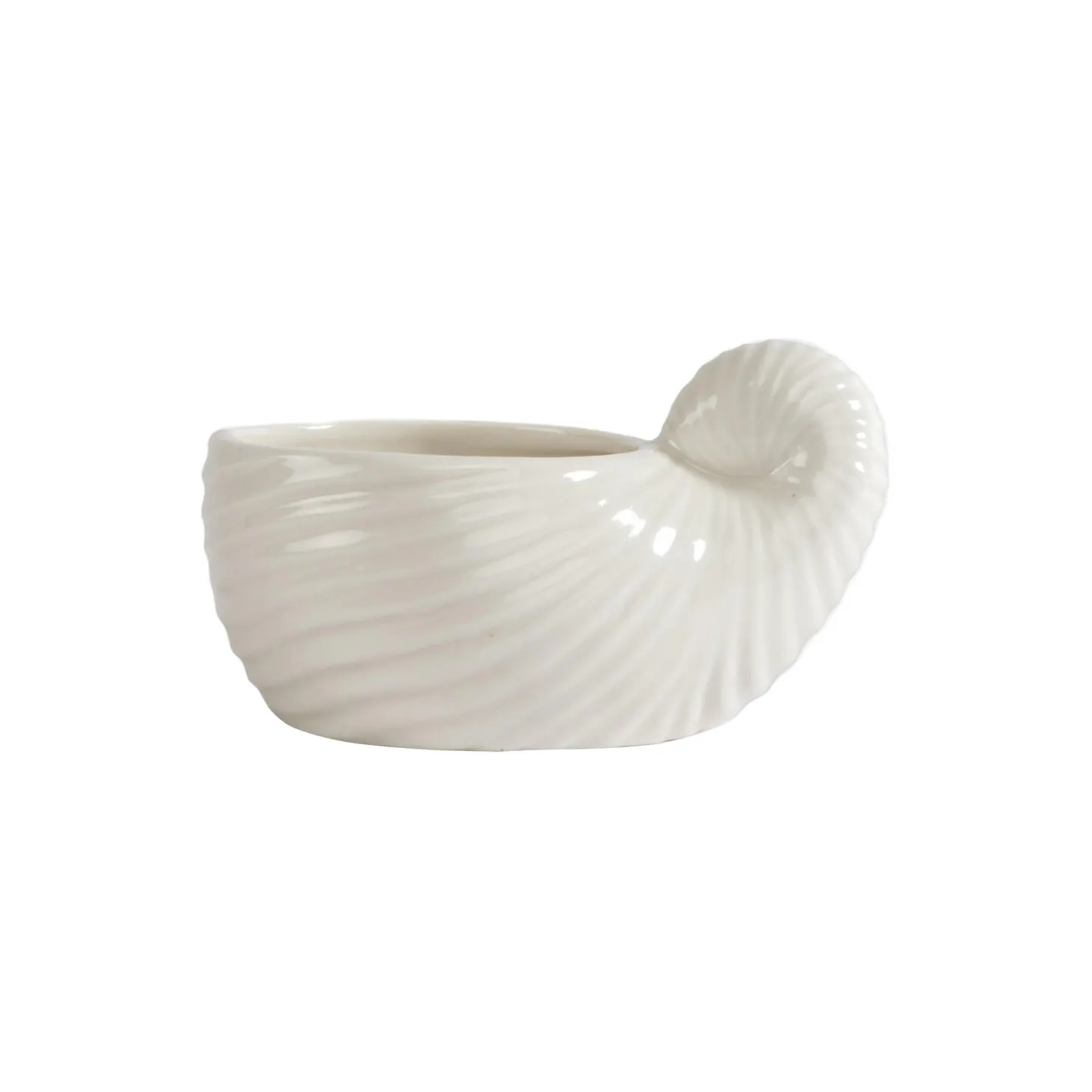 ShelleyCup 2 pcs