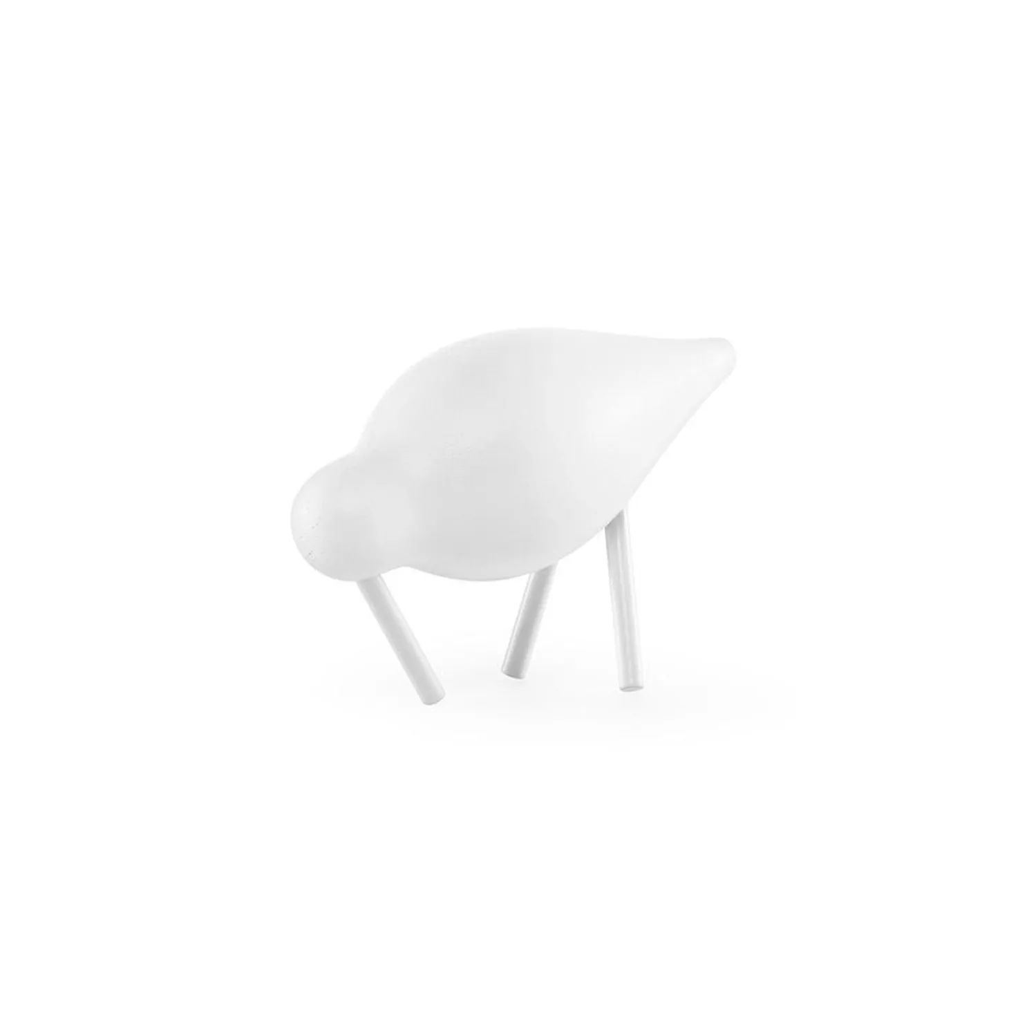 Shorebird, white/white